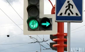 В Кемерове у кардиодиспансера установят светофор за 9 млн рублей
