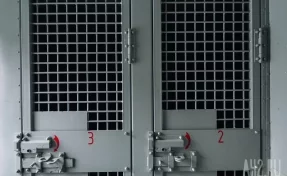 В Кемерове мужчину и женщину арестовали за диверсию на железной дороге