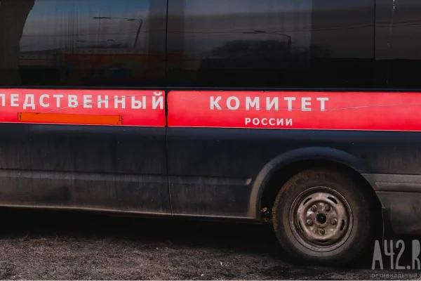 СК проверяет информацию о пьющей матери из Кузбасса