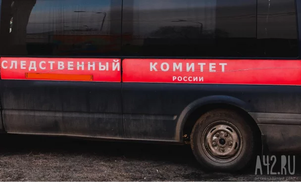 СК проверяет информацию о пьющей матери из Кузбасса