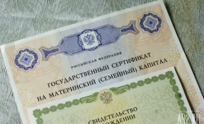 Минтруд: с 1 февраля маткапитал на первого ребёнка составит 729 000 рублей