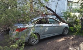 Кемеровчане делятся в соцсетях снимками последствий ночного урагана