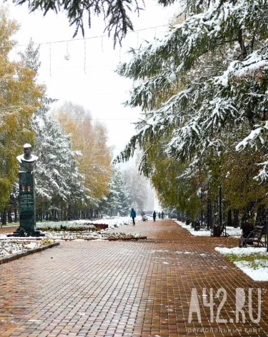 Фото: A42.RU