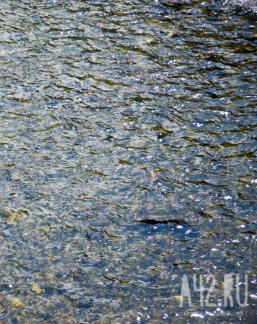 В Кузбассе пилота оштрафовали за жёсткую посадку гидроплана на Томи