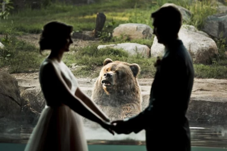 Фото: Медведь остался недоволен свадебной фотосессией в зоопарке 1