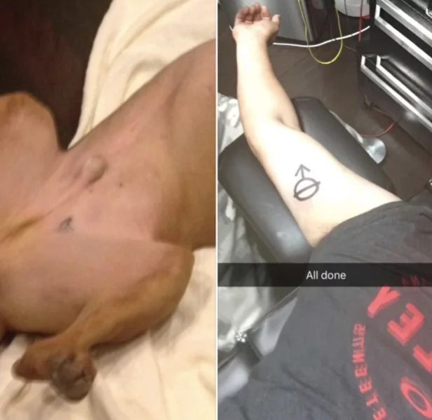 Фото: Клеймо для кастратов: мужчина сделал татуировку в честь своего пса, но пожалел об этом 2