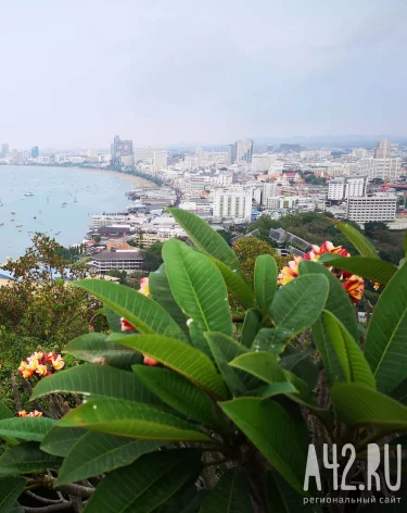 В Таиланде ищут пропавшую 2 недели назад россиянку