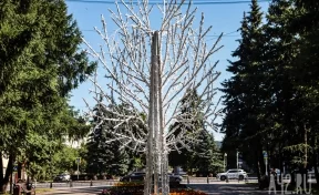 Дмитрий Анисимов: в Кемерове на Весенней улице установили светодиодное дерево
