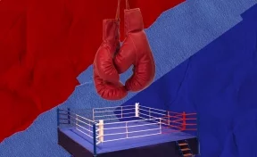 UFC, Glory, ACA: где выступают бойцы из Кузбасса