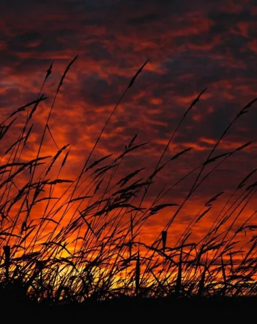 Эксперт Кокорин: изменение климата в России увеличило частоту катаклизмов