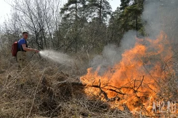 Фото: В Кузбассе началось патрулирование лесов, в выходные и праздники патрули лесохраны усилят 1