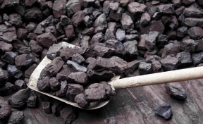 Более 6 000 кузбасских семей получили бесплатный уголь