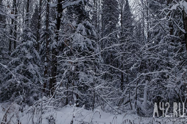 Лаптев день: народные приметы на 22 февраля