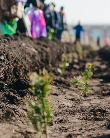 Фото: <a href=https://t.me/minprirody_Kuz/10392>Минприроды Кузбасса</a> / Telegram