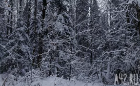 Лаптев день: народные приметы на 22 февраля