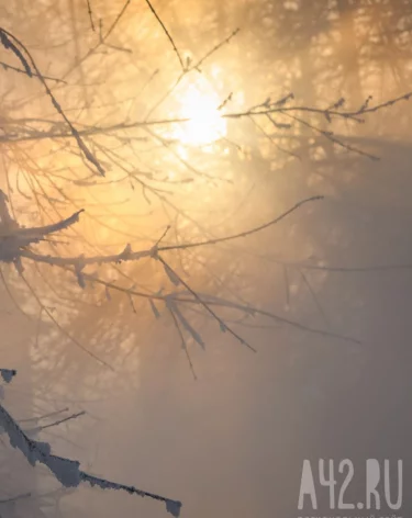 До -46: синоптики рассказали, где в ночь на 16 января в Кузбассе было холоднее всего