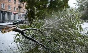 МЧС: в Кузбассе ветер усилится до ураганных значений в 35 м/с и более