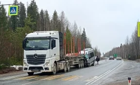 В Пермском крае автобус с детской хоккейной командой столкнулся с лесовозом