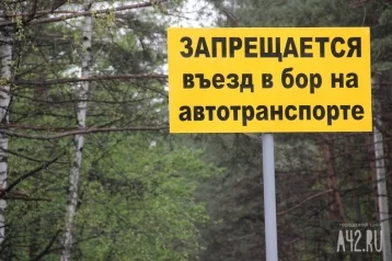 Фото: В Кемерове на въезде в Сосновый бор установят камеры видеонаблюдения 1