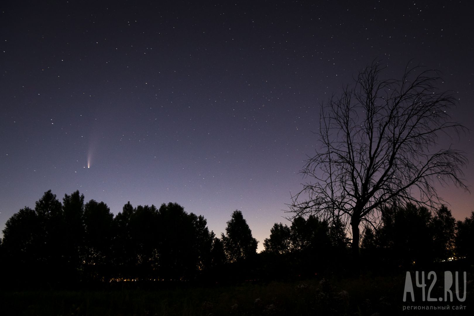  «Астероид, комета или НЛО»: кузбассовцы обсуждают полёт похожего на медузу светящегося объекта