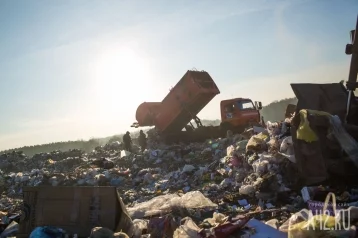 Фото: Власти Кузбасса обсудили вопрос ликвидации несанкционированных свалок 1