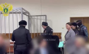 В Москве гособвинитель запросил 6 лет колонии блогеру Елене Блиновской