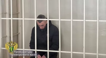 Фото: Мужчина, изнасиловавший женщину в подъезде во Владивостоке, взят под стражу 1