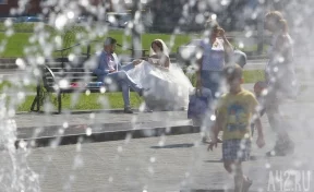 В Кузбассе в День молодёжи в брак вступили 145 пар