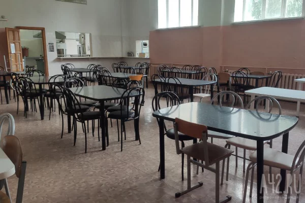 Норовирус подтвердился у 23 школьников из Тюменской области