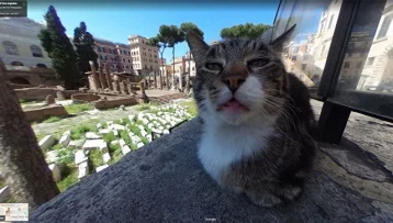Фото: Кот «испортил» панораму Рима в Google-картах 1