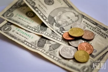 Фото: Доверьтесь правительству: россиянам дали совет насчёт покупки и продажи валюты 1
