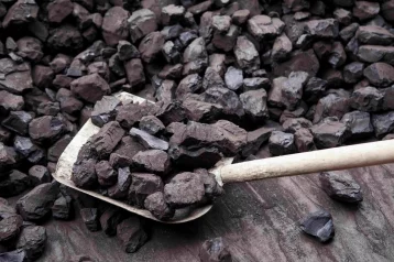 Фото: Более 6 000 кузбасских семей получили бесплатный уголь 1