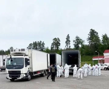Фото: Россия и Украина обменялись телами погибших солдат 1