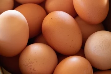 Фото: Росконтроль назвал лучших производителей яиц 1