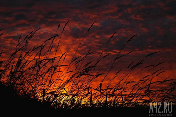 Эксперт Кокорин: изменение климата в России увеличило частоту катаклизмов