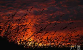 Эксперт Кокорин: изменение климата в России увеличило частоту катаклизмов