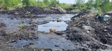 Фото: СК и прокуратура начали проверки после сообщения о разливе нефтепродуктов в Анжеро-Судженске 1
