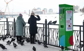 В Кемерове на набережной Искитимки появился «уткомат»