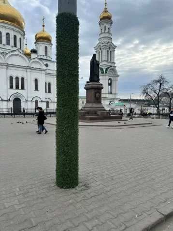 Фото: В Ростове-на-Дону столбы обмотали декоративным газоном для борьбы с листовками 1