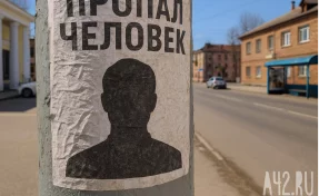 Мэр Смоленска призвал откликнуться возможных очевидцев исчезновения 9-летней девочки