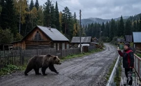 В Кузбассе ещё в одном округе ввели режим «Повышенная готовность» из-за медведей