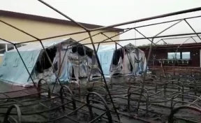 Спасшего детей во время пожара в хабаровском лагере школьника посмертно наградили