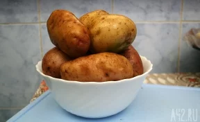 Власти Кузбасса прокомментировали рост цен на картофель