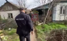 В Крыму мужчина убил и съел своих собак, возбуждено уголовное дело