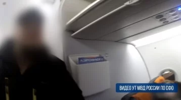 Фото: В Кемерове с рейса сняли москвича, курившего на борту самолёта электронную сигарету 1