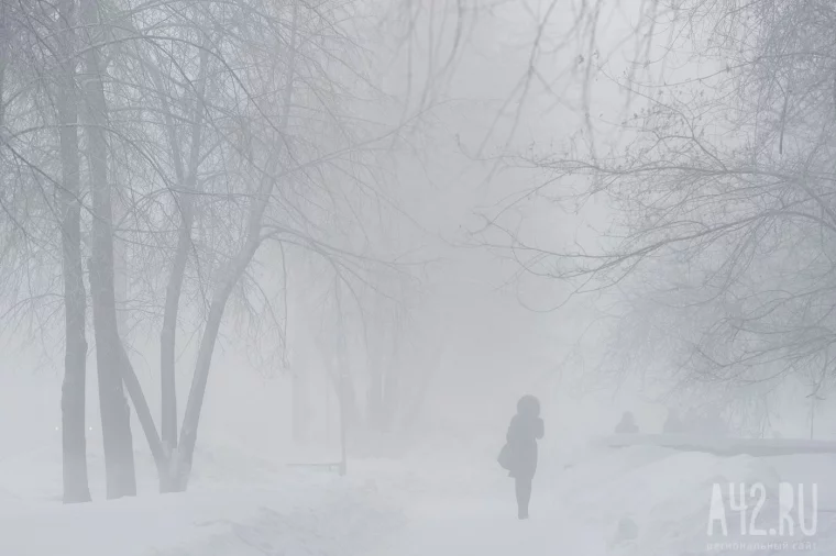 Фото: Застывший город: утренний туман в Кемерове 22