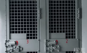 В Петербурге отправили в СИЗО Хасанбоя Алимова, пристававшего к девочке в метро