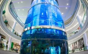 Вода льётся в атриум: в Москве в торговом центре треснул гигантский аквариум