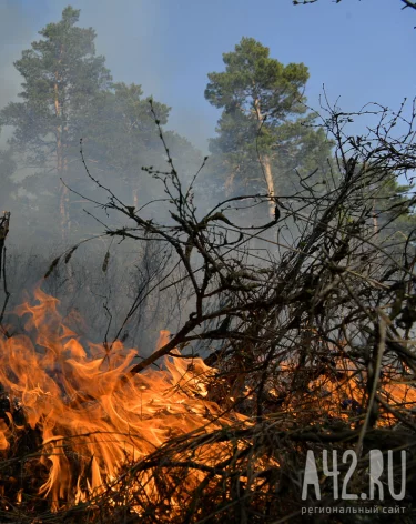 Власти Кузбасса изменили даты особого противопожарного режима