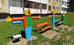 Администрацию кузбасского города оштрафовали на 300 000 рублей из-за сломанных качелей 